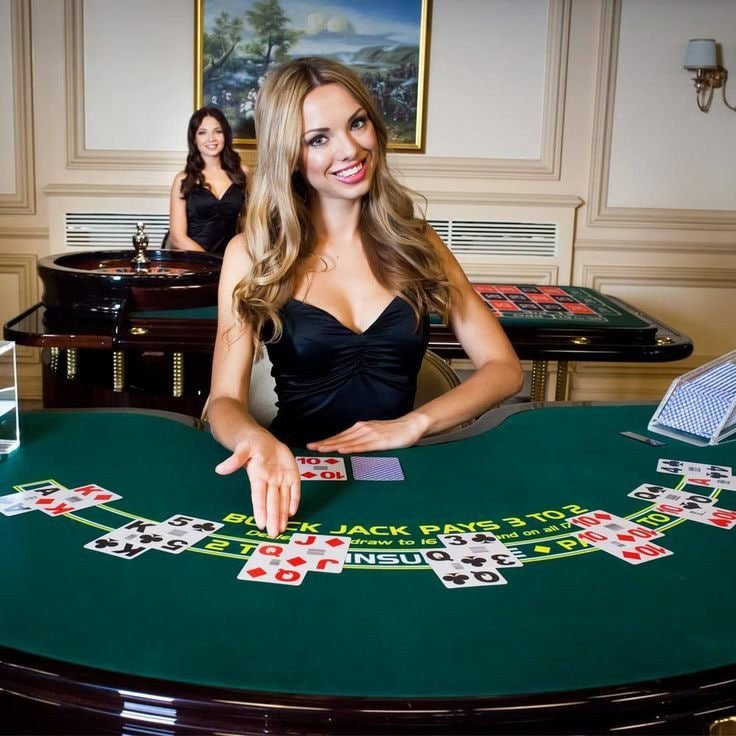 bet317 login